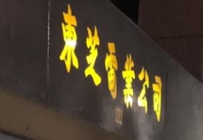 推介: 東芝電業公司